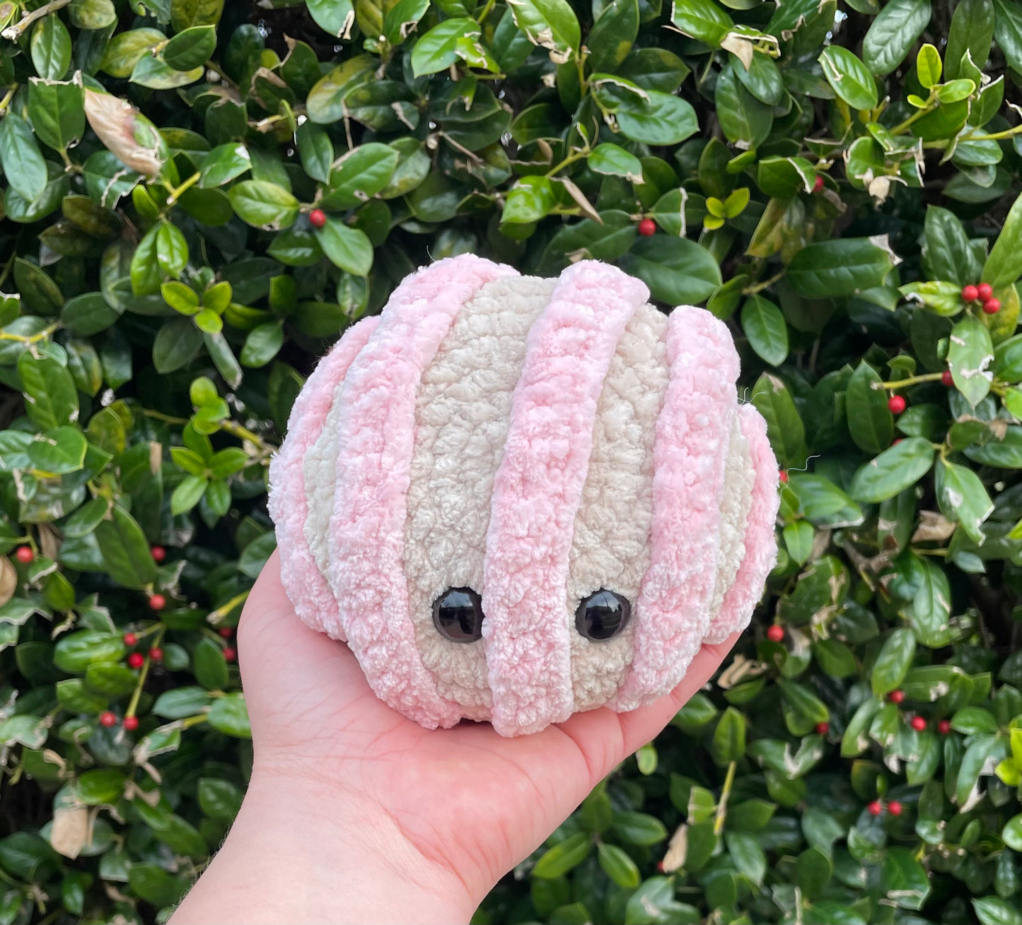 Crochet Concha