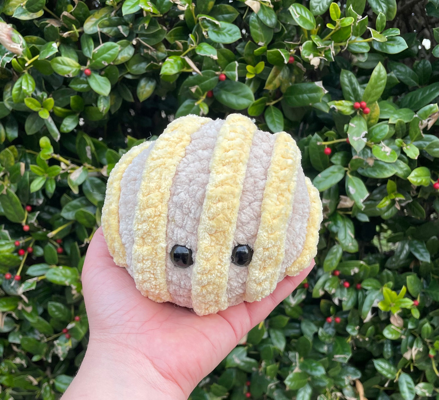 Crochet Concha