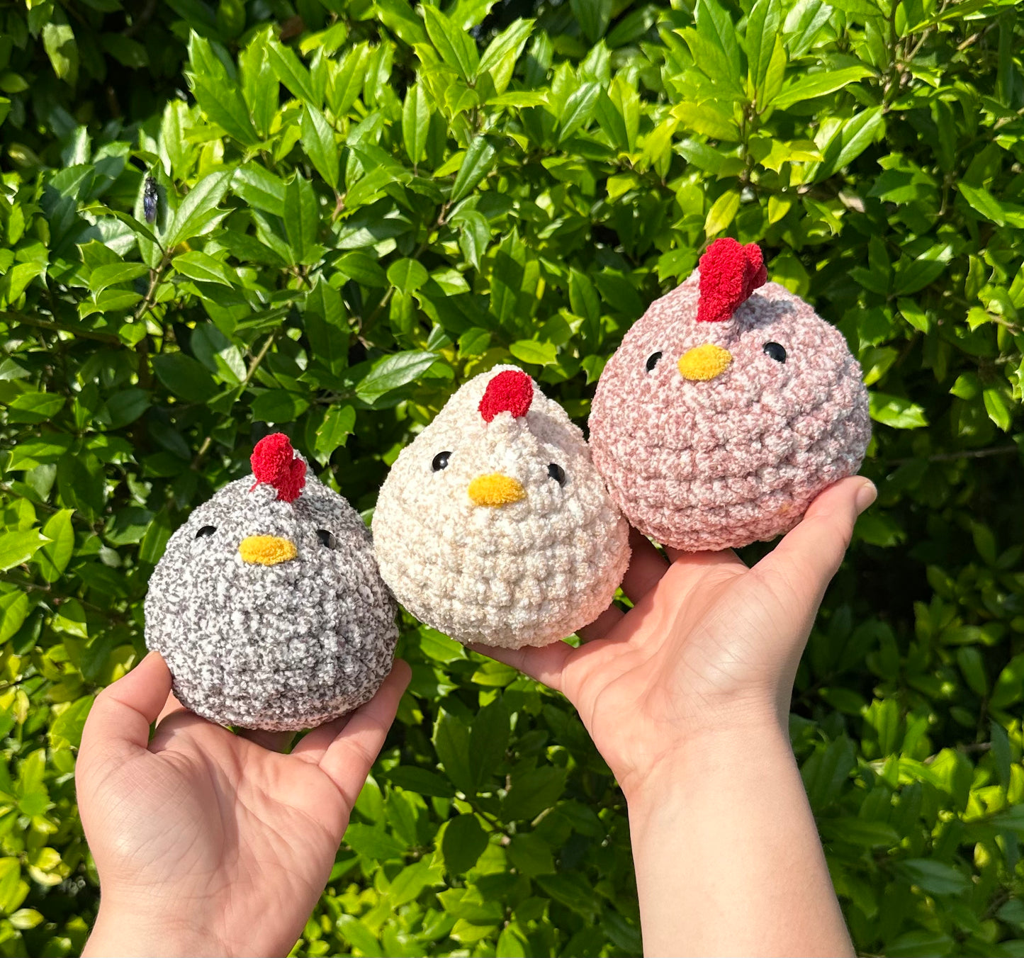 Crochet Chickens